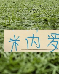 易倍体育登录入口-马纳法五月比赛报销！